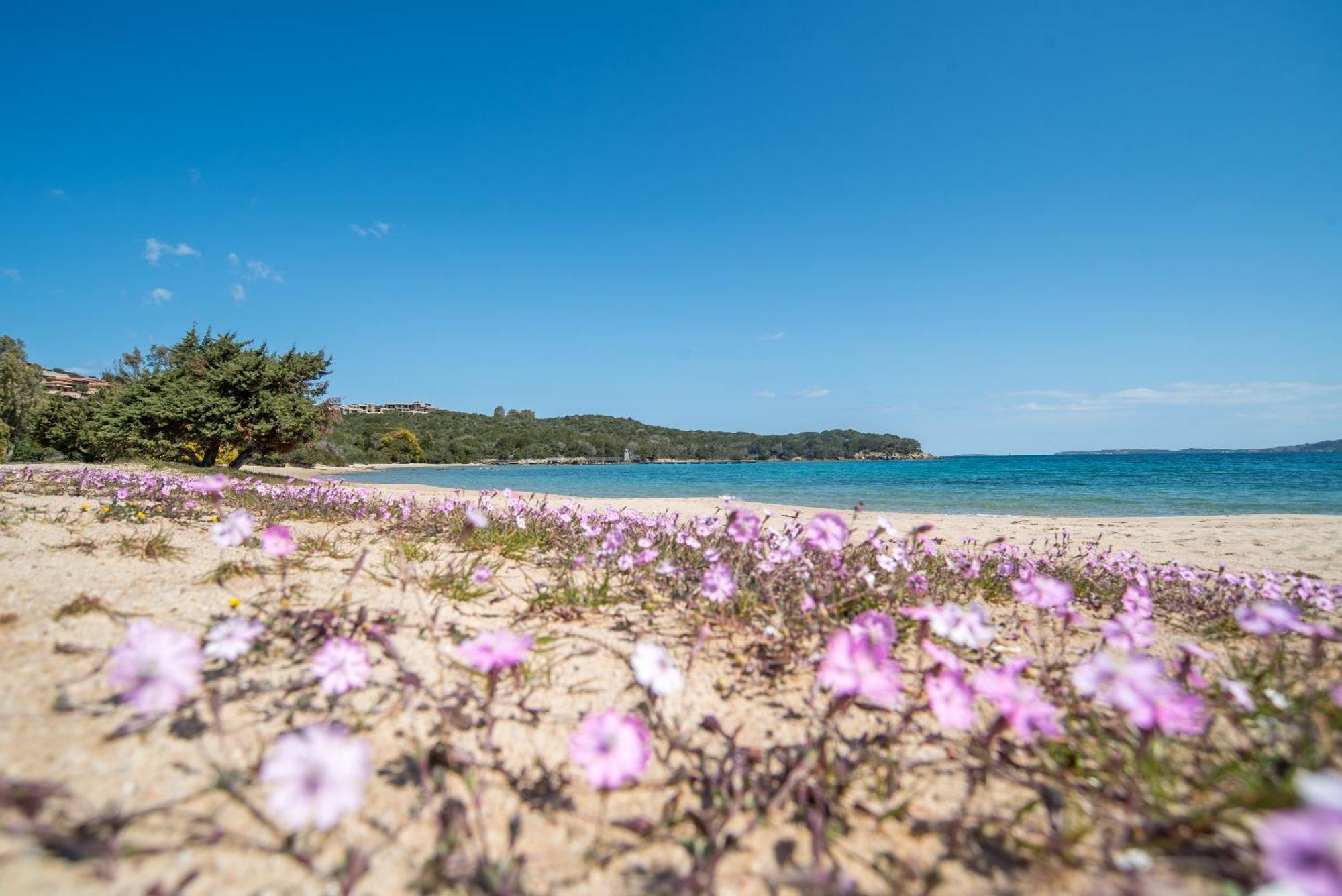 Appartamento Palau Sole Dış mekan fotoğraf